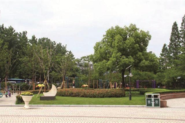 南京上半年完成杨树改造8000多株 恢复绿地90000平方米