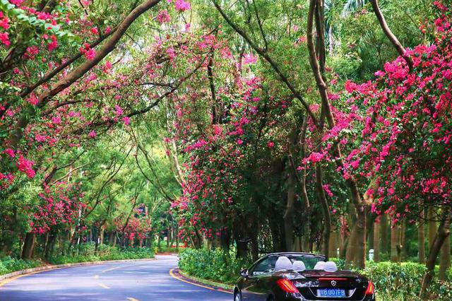 江苏园林城市覆盖率居全国第一 绿色客厅让城市处处见景