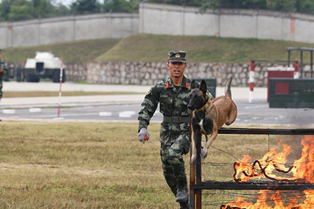 北青报：“救助警犬成偷狗”欠公众一个交代