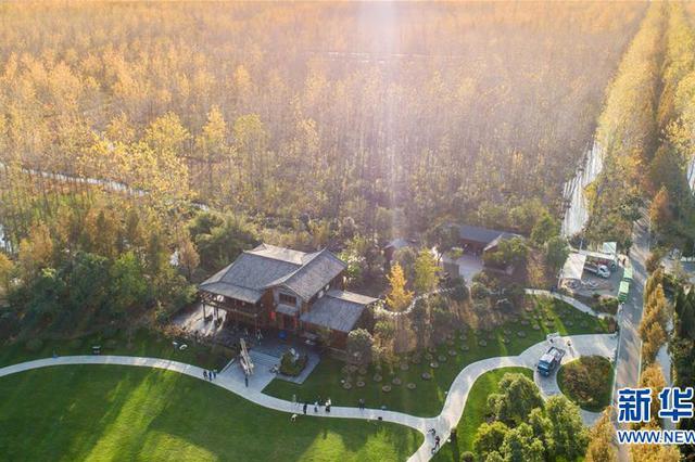 本周主打“小晴歌” 降雨周日晚上到