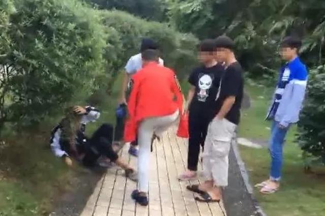 聋哑男子挥刀追砍民警砸警车 被枪击腿部制服