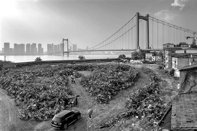 无处安放！摄影师用照片记录共享单车尴尬境地