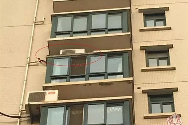 祸从天上来 60岁男子被8楼脱落窗沿砸中身亡