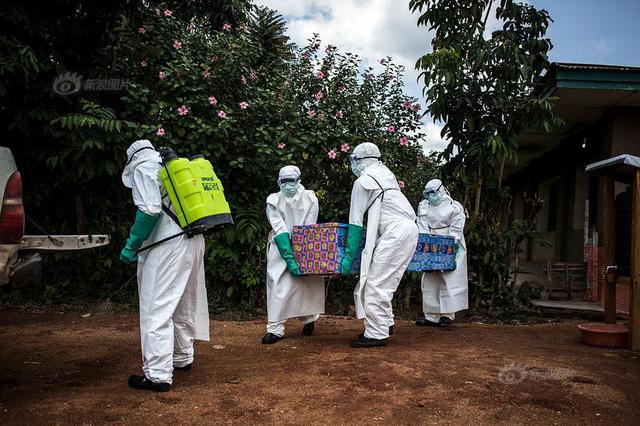 非洲猪瘟防控形势十分严峻 疫情已在17省份发生