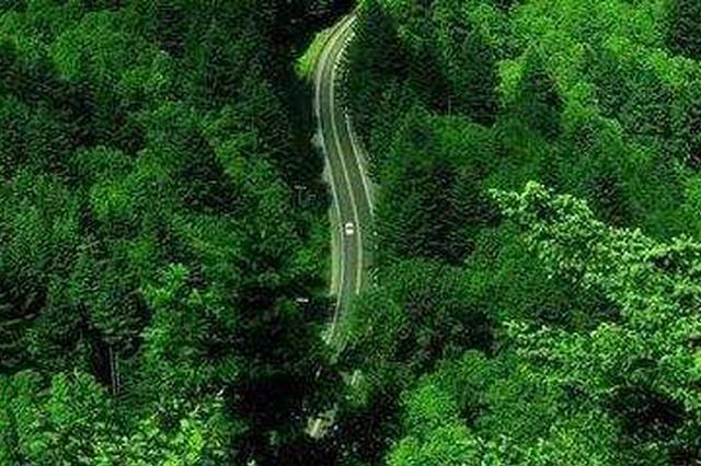 国土绿化行动：吸纳10万以上贫困人口参与生态工程