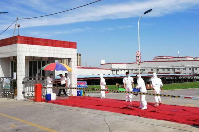 哈尔滨排查非洲猪瘟疫情：发病269头 死亡269头