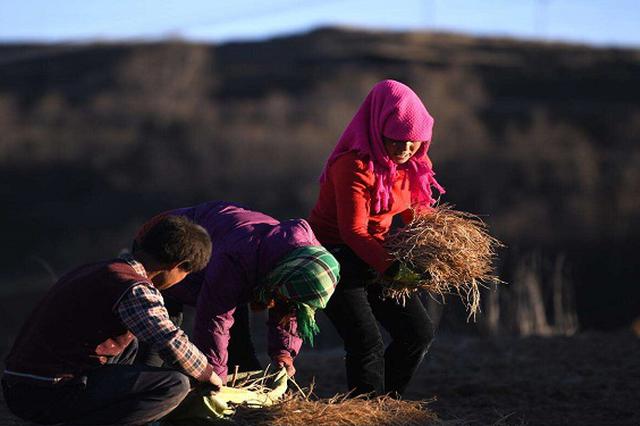 60万采购脱贫宣传片 扶贫办不该如此“大手大脚”