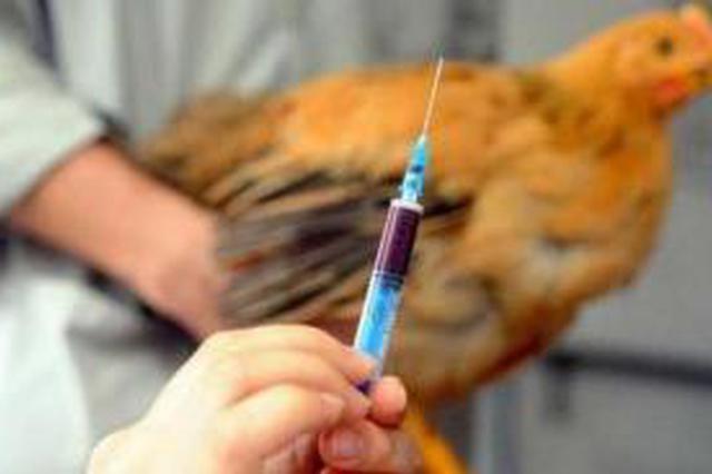 扬州市江都区发生家禽H5N6亚型高致病性禽流感疫情