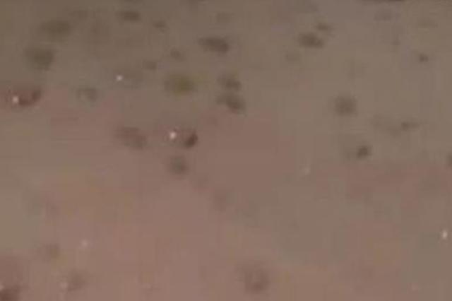 浴室淋浴头喷出“泥浆水” 新来的锅炉工操作不当