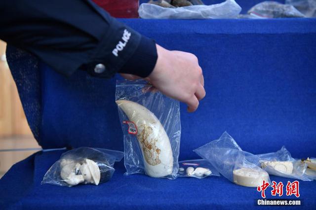 男子非法收购象牙制品 终审获刑九年六个月