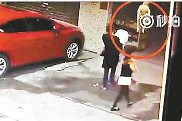 天降大狗女子被砸致瘫诉全楼 律师称能证明自己无责可不担责