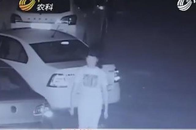 不满他人把车停斑马线上 老人扎破31条车胎受审