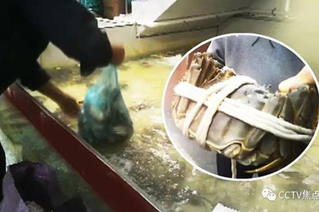 苏州连夜彻查假阳澄湖大闸蟹 查获上万只“过水蟹”