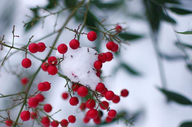 周末江苏将出现雨水 下周南京真的会下雪吗