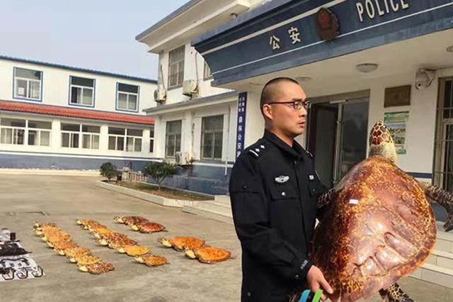 连云港破获贩卖玳瑁标本案 嫌犯将玳瑁烫伤挖肉取眼