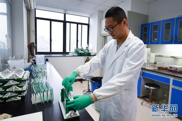 至少填埋近8000吨！江苏泰兴一企业偷埋化学肥料被处罚