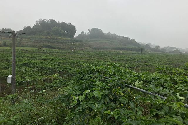 射阳接轨上海按下快进键：驻点招商，承接产业转移