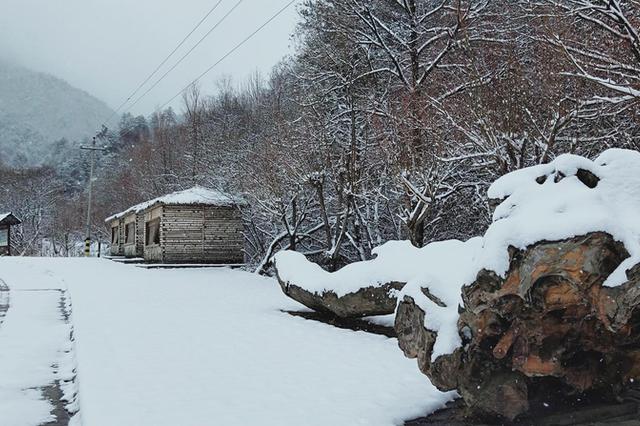 江苏将迎今冬初雪 “全能型”冷空气在路上