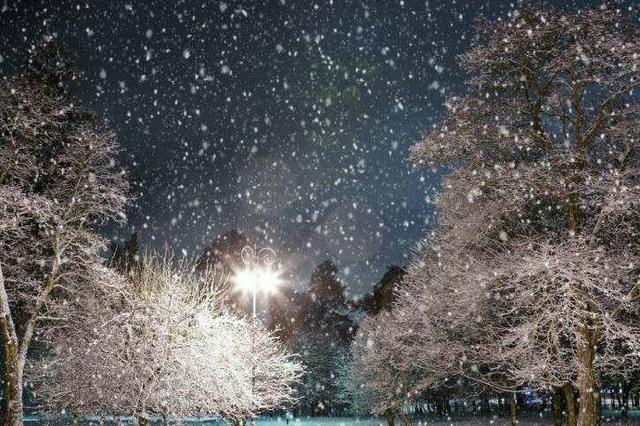 寒潮打响江苏“收官战”：飞雪送走2018 阳光迎来2019