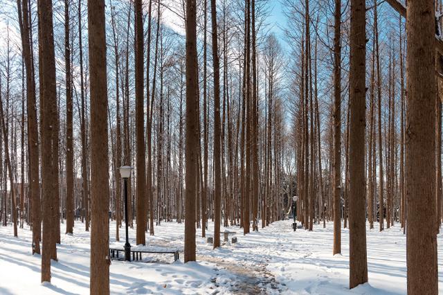 江苏北部最低温度-6℃未来两天仍多雨雪 南京：呵呵