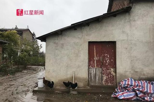 12岁少年弑母后漠然问道:学校不能不让我上学吧？