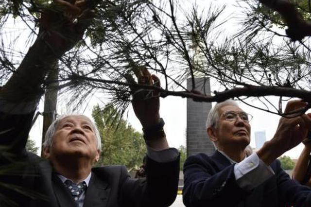 为南京大屠杀真相奔走40年的旅日华侨：坚持为遇难者发声