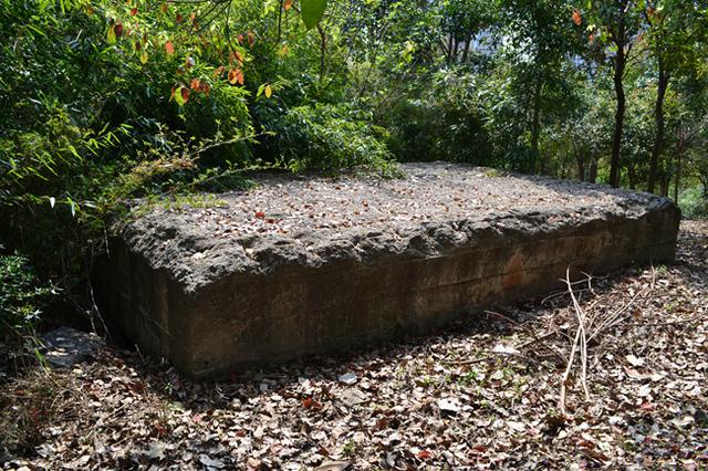 南京市民申请毛家巷两座抗战碉堡为不可移动文物