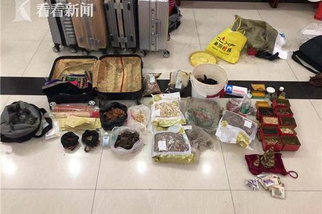 四男子街头卖假药 恐吓老人"中蛊毒"诈骗4500元