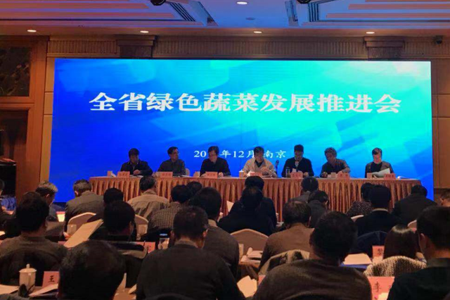 关系你我菜篮子 江苏将打造千亿元级绿色蔬菜产业体系