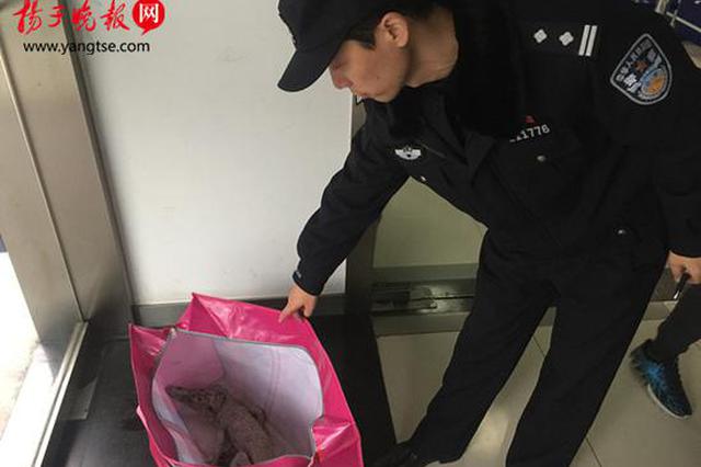 镇江火车站南广场惊现一米长死鳄鱼！