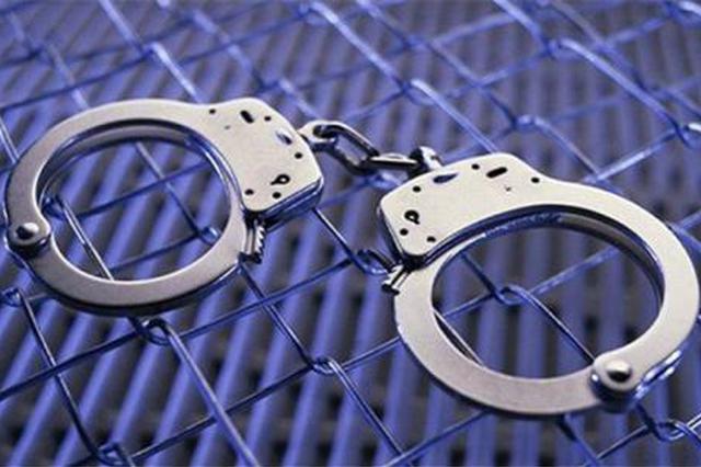 江苏省纸联再生资源有限公司原总经理谢浩杰外逃被捕归案