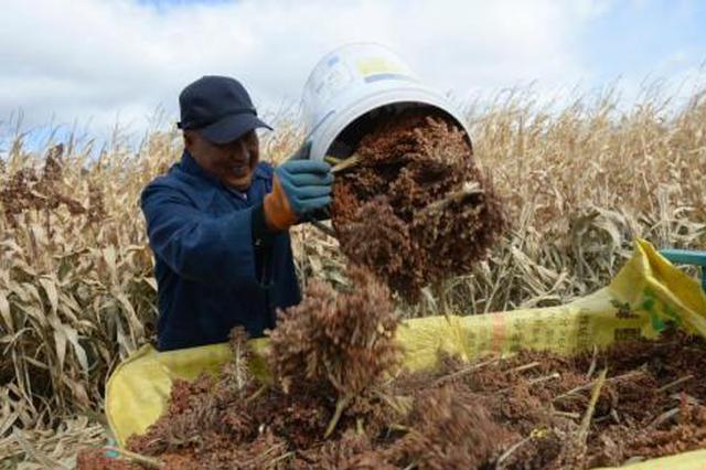 国家统计局通报7起农业普查造假弄虚作假典型案件