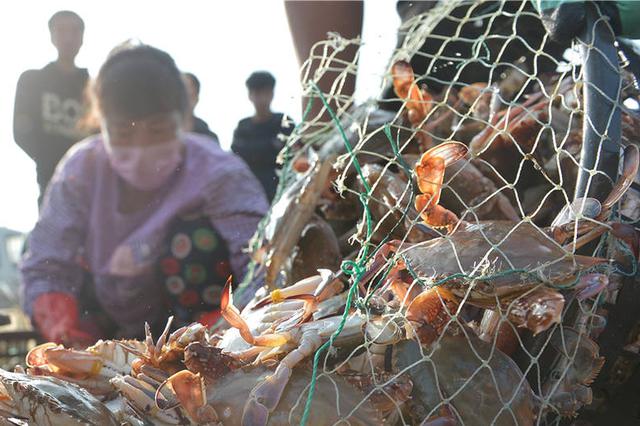 江苏表彰11位渔民：发现多个他国制造的水下窃密装置