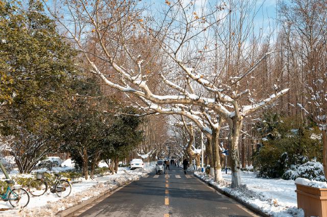 南京11区委书记带队连续出访 隐藏了哪些“城市雄心”