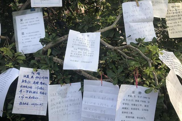 86.4%受访者称有催婚焦虑 触及隐私让人感觉不是滋味