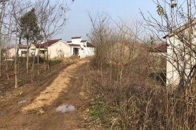 5座坟墓连连被毁 民警蹲守抓住寻刺激辱尸年轻男子