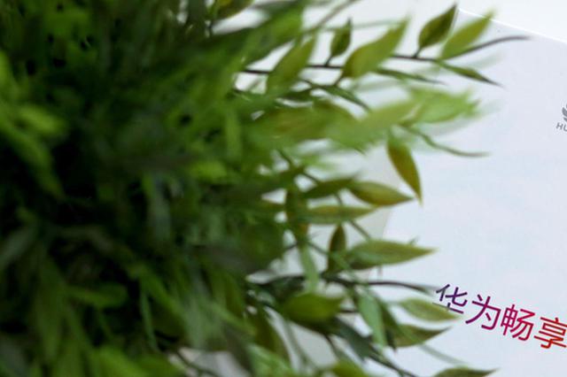 华为回应波兰员工事件：因个人原因涉嫌犯罪，终止雇佣关系