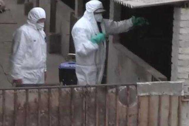 农业农村部：江苏泗阳发生非洲猪瘟疫情 死亡1369头