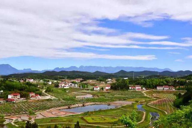 江苏省政协十二届二次会议收到提案902件 委员们带来哪些“金点子