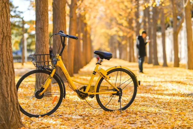 ofo戴威旗下公司两联合创始人退出