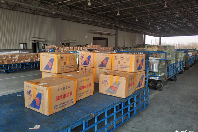 牛羊肉、鲜花、海鲜……每天数百吨年货打着“飞的”来南京