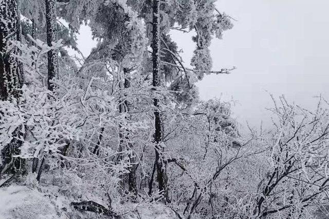 春运天气不省心 淮北地区暴雪冰冻一起来