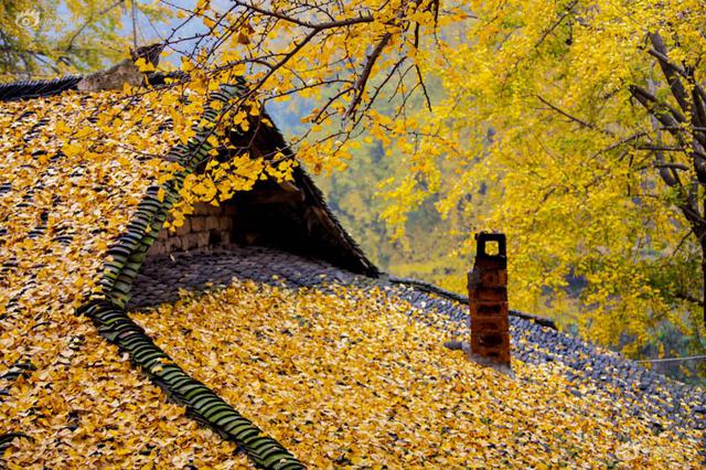 江苏出台领导干部自然资源资产离任审计办法
