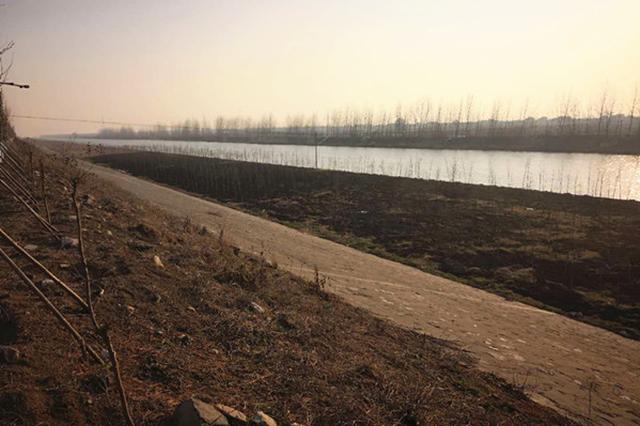 高邮大运河畔5800平方米草坪被烧毁 警方介入调查