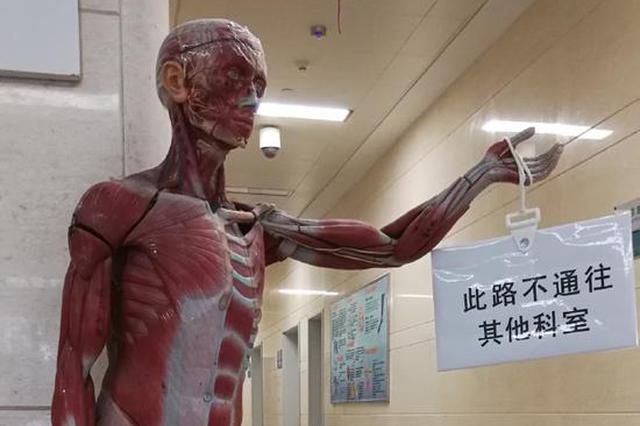 医院拿扒皮人体模型当路牌 医生：问路的人减少9成