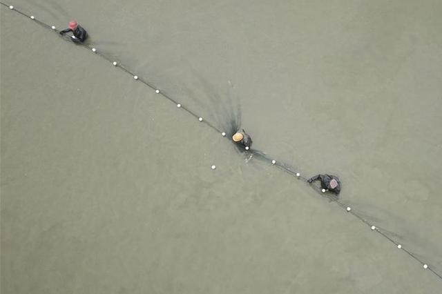 江苏加强长江水生生物保护 2020年重点水域常年禁捕