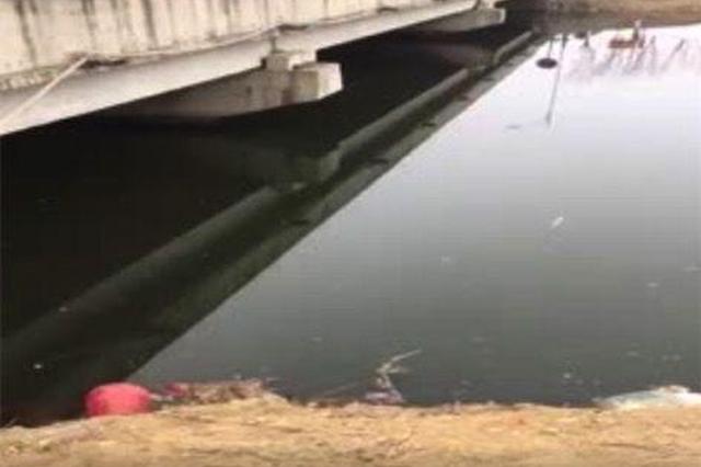 零下3度，连云港俩小伙冰河救出轻生女！