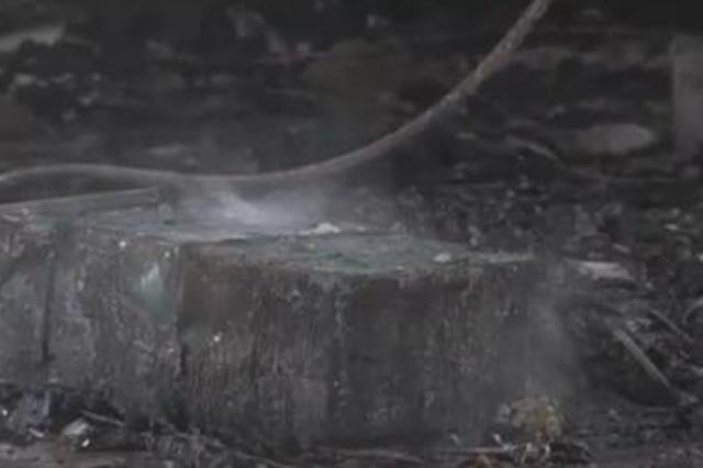 村民家中起火造成犯罪嫌疑人在内等6人死亡