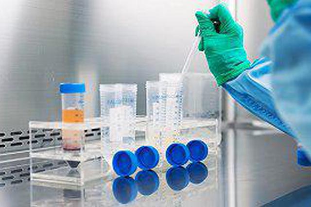 陈小平团队回应疟原虫治癌项目被叫停:仍正常进行