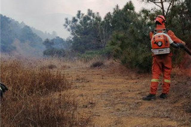 4岁女童因尿裤子 被继父殴打后死亡 埋尸后山